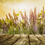 Cedar Leaf & Lavender (Type) Fragrance Oil - Zoom Thumbnail Media 1