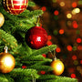 Christmas Tree Fragrance Oil - Zoom Thumbnail Media 1