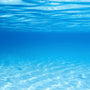 Cool Water (Type) Fragrance Oil - Zoom Thumbnail Media 1