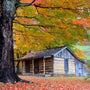 Cozy Cabin Fragrance Oil - Zoom Thumbnail Media 1