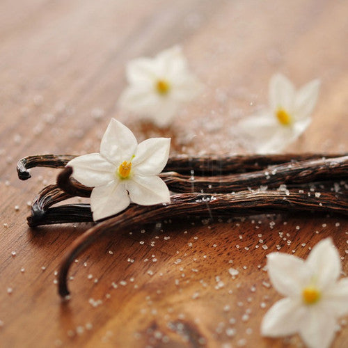 French Vanilla Fragrance Oil - Zoom Media 1