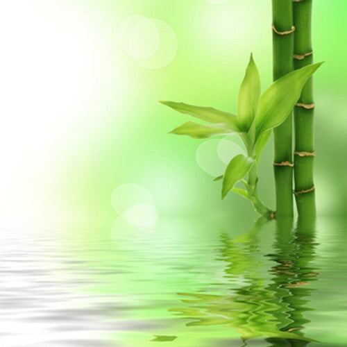 Fresh Bamboo (Type) Fragrance Oil - Zoom Media 1