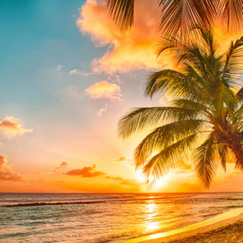 Honolulu Sun (Type) Fragrance Oil - Zoom Media 1