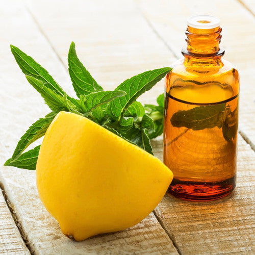 Lemon Mint Leaf (Type) Fragrance Oil - Zoom Media 1