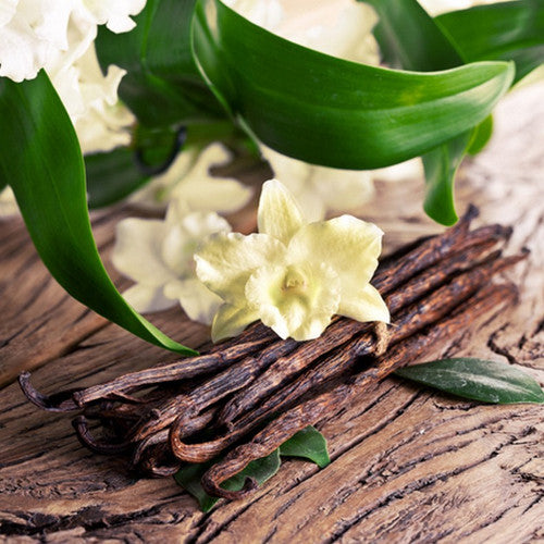 Sandalwood Vanilla Fragrance Oil - Zoom Media 1