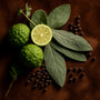 Sagewood & Suede Fragrance Oil - Zoom Thumbnail Media 1