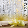 Vanilla Birch (Type) Fragrance Oil - Zoom Thumbnail Media 1
