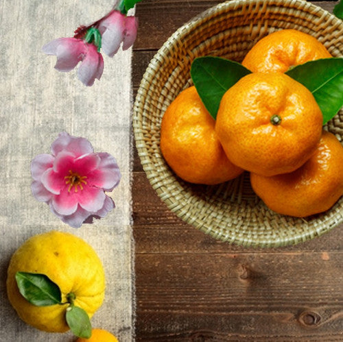 Yuzu & Satsuma Fragrance Oil - Zoom Media 1