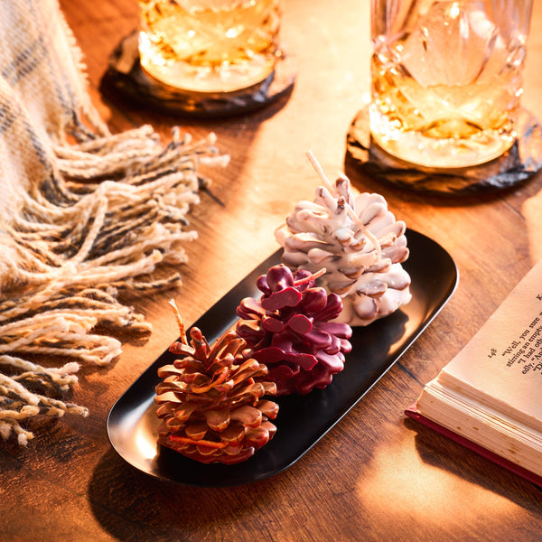 Pinecone Firestarters Recipe