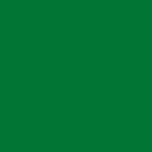 Hunter Green Dye Blocks - Zoom Media 2