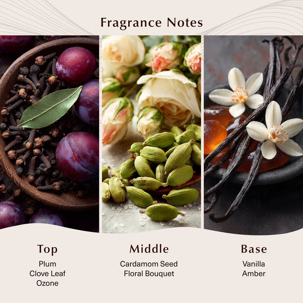 Black Sea Fragrance Oil - Zoom Media 2
