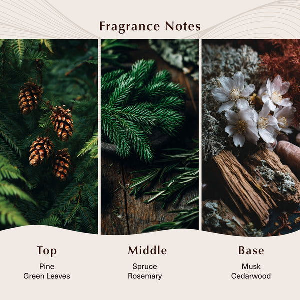 Balsam Fir Fragrance Oil - Zoom Media 2