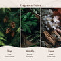 Balsam Fir Fragrance Oil - Zoom Thumbnail Media 2