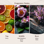 Black Raspberry Vanilla Fragrance Oil - Zoom Thumbnail Media 2