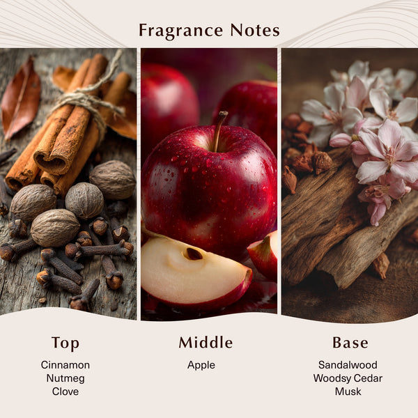 Autumn Night (Type) Fragrance Oil - Zoom Media 2