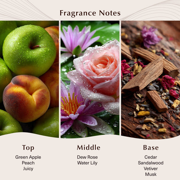 Be Enchanted (Type) Fragrance Oil - Zoom Media 2