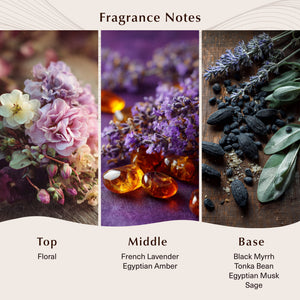 Black Amber & Lavender Fragrance Oil - Secondary Image