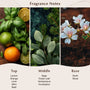 Basil, Sage, Mint Fragrance Oil - Zoom Thumbnail Media 2