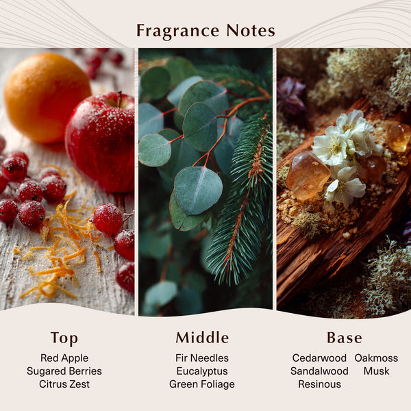 Birchwood Pine (Type) Fragrance Oil - Zoom Media 2