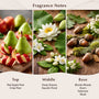 Apple Peel & Acorn Fragrance Oil - Zoom Thumbnail Media 2
