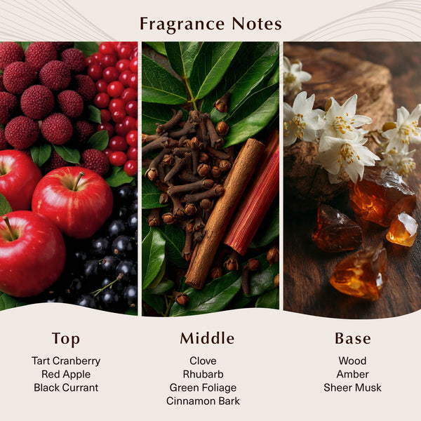 Bayberry & Silver Oak Fragrance Oil - Zoom Media 2