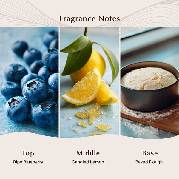 Blueberry Cake Pop Fragrance Oil - Zoom Media 2