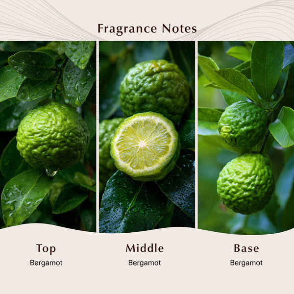 Bergamot Fragrance Note - Zoom Media 2
