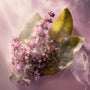 Istros (Type) Fragrance Oil - Zoom Thumbnail Media 1