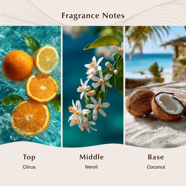 Sea Island (Type) Fragrance Oil - Zoom Media 2