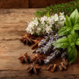 La Drouguerie (Type) Fragrance Oil - Zoom Thumbnail Media 1