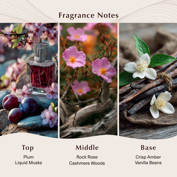 Vanilla Bloom (Type) Fragrance Oil - Zoom Media 2
