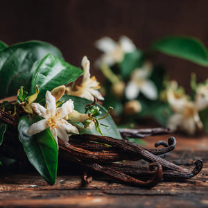 Vanilla Bloom (Type) Fragrance Oil - Featured Image