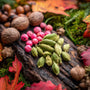 Autumn Vibes (Type) Fragrance Oil - Zoom Thumbnail Media 1