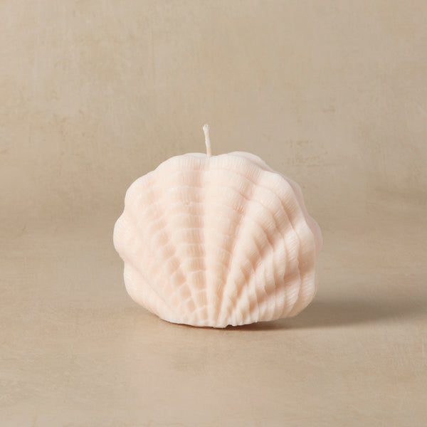 Textured Shell Silicone Mold - Zoom Media 2