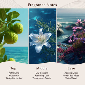 Veranda Breeze Fragrance Oil - Secondary Image