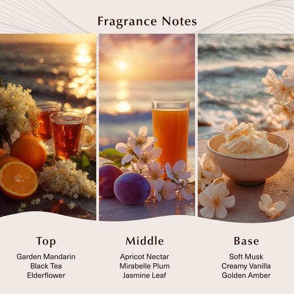 Apricot Tea & Elderflower Fragrance Oil - Zoom Media 2
