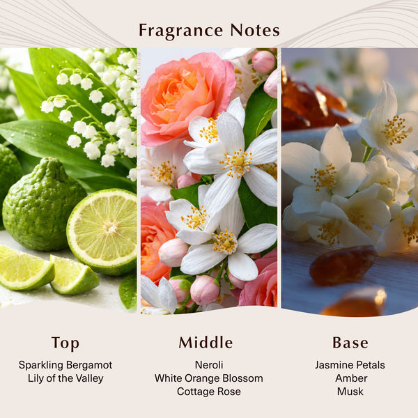Solar Amber Fragrance Oil - Zoom Media 2