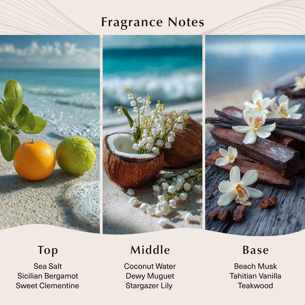 Coconut Shore Fragrance Oil - Zoom Media 2