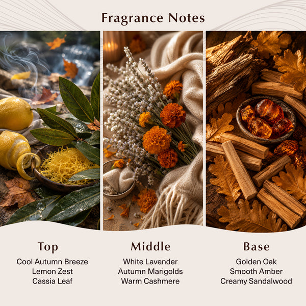 Wild Marigold & Sandalwood Fragrance Oil - Zoom Media 2