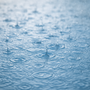 Rainwater Fragrance Note - Zoom Thumbnail Media 1