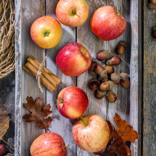 Apple Peel & Acorn Fragrance Oil - Zoom Media 1
