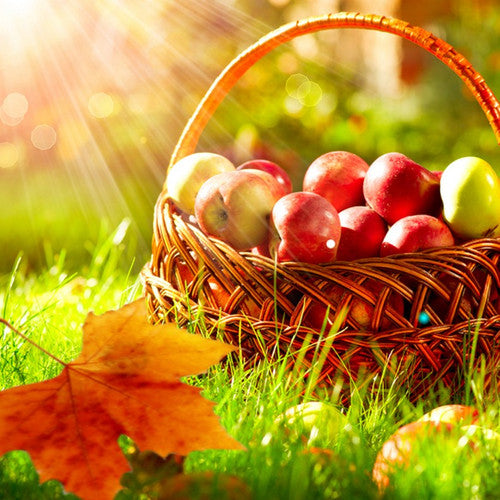 Autumn & Apple Orchard Fragrance Oil - Zoom Media 1