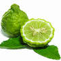 Bergamot Fragrance Oil - Zoom Thumbnail Media 1