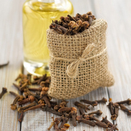 Clove Fragrance Oil - Zoom Media 1