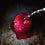 Glazed Candy Apple Fragrance Oil