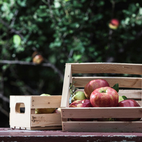 Honeycrisp Harvest Fragrance Oil - Zoom Media 1