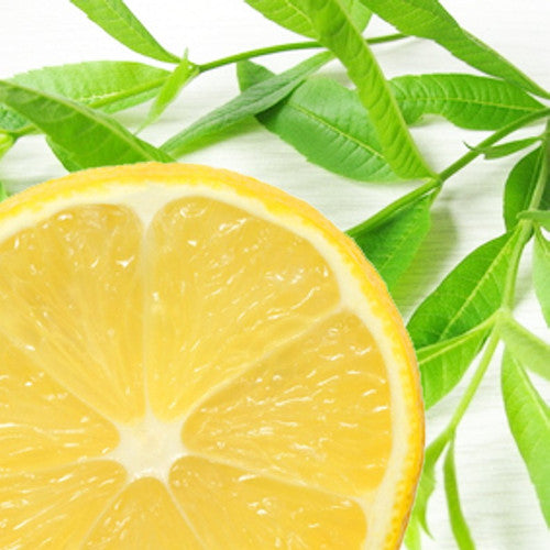 Lemon Verbena Fragrance Oil - Zoom Media 1