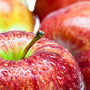 Macintosh Apple Fragrance Oil - Zoom Thumbnail Media 1