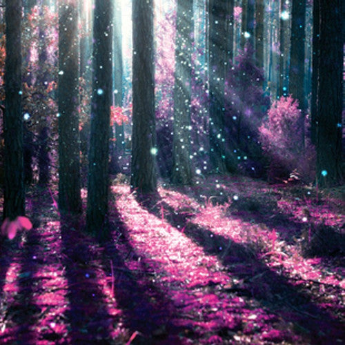 Merlins Forest Fragrance Oil - Zoom Media 1