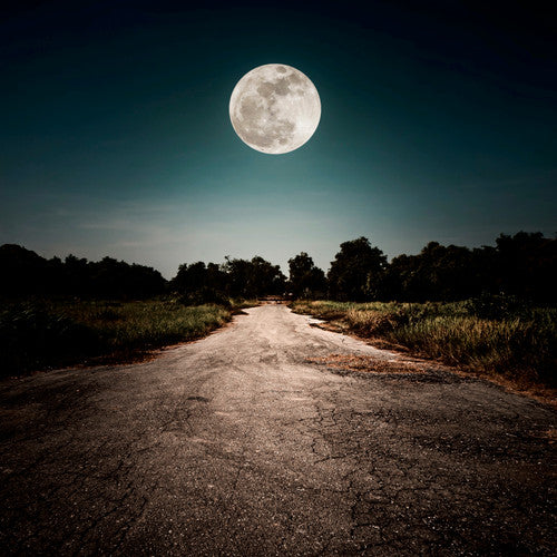Moonlight Path (Type) Fragrance Oil - Zoom Media 1